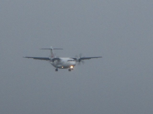 20250901_103707.JPG