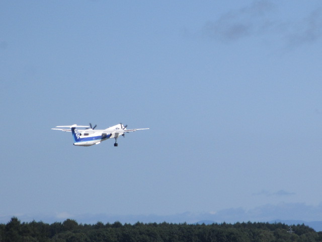 20250904_094046.JPG