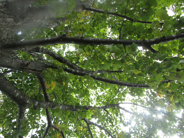 20250904_094558.JPG