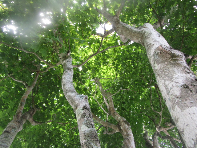 20250904_094613.JPG