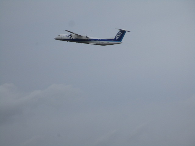 20250909_100757.JPG