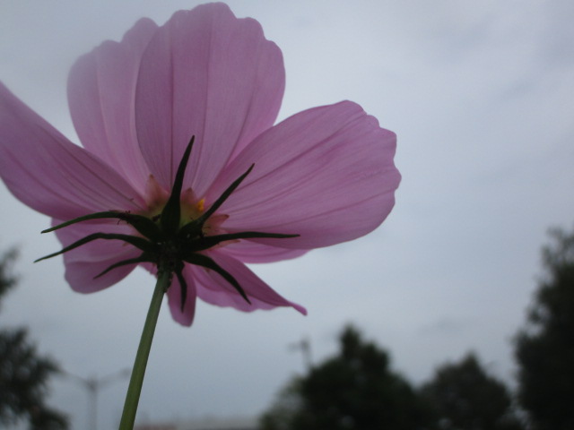 20250909_100913.JPG