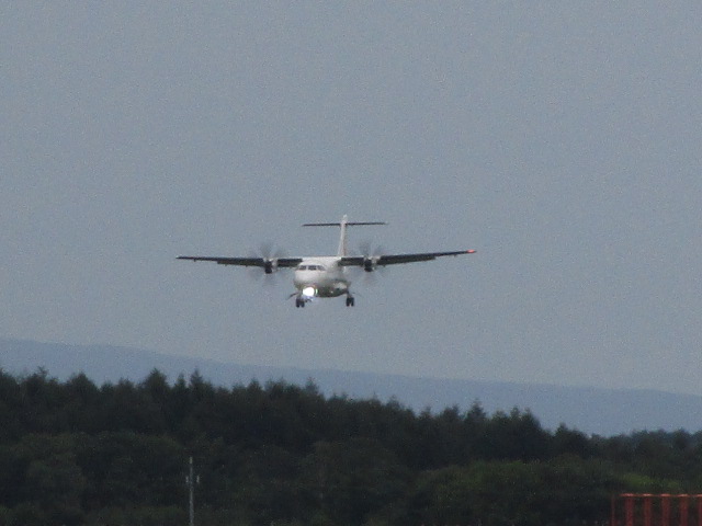 20250909_161359.JPG