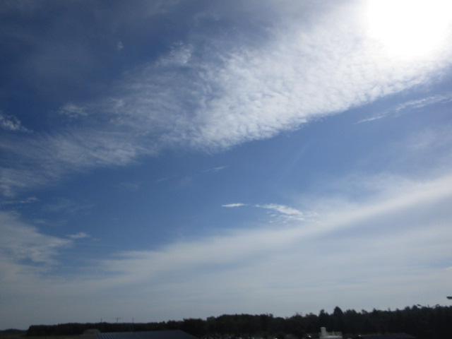 20250910_094753.JPG