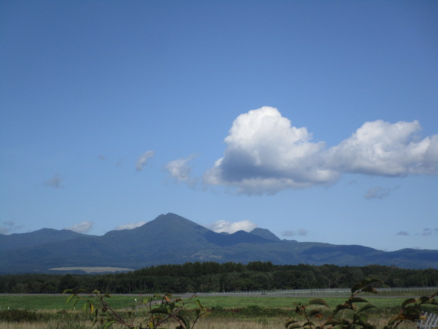 20250912_095340.JPG