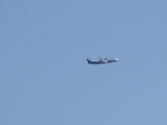 20250912_095414.JPG