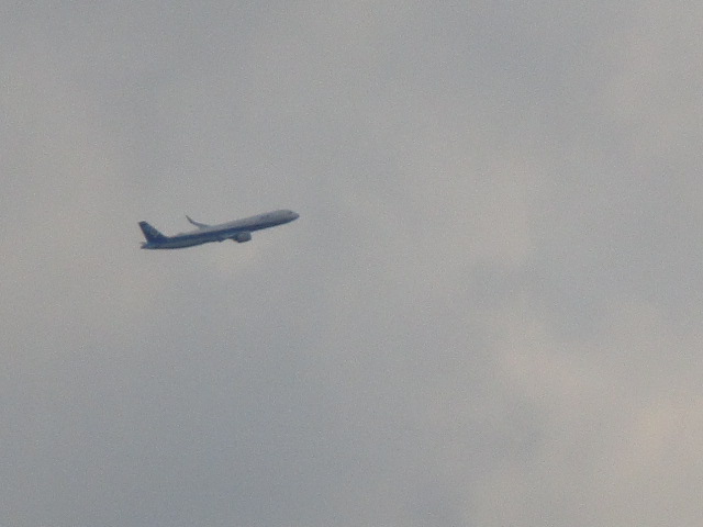 20250912_165027.JPG
