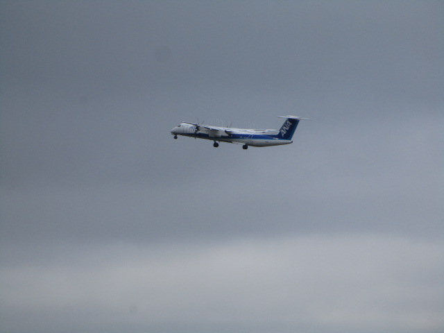 20250913_100501.JPG