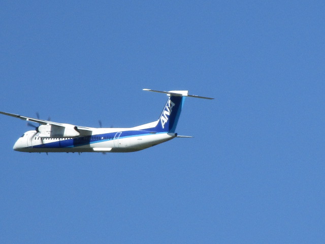 20250915_105459.JPG