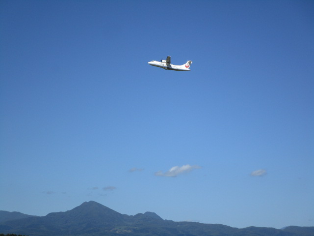 20250915_113524.JPG