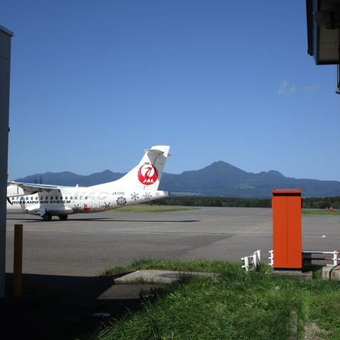 丘珠便
