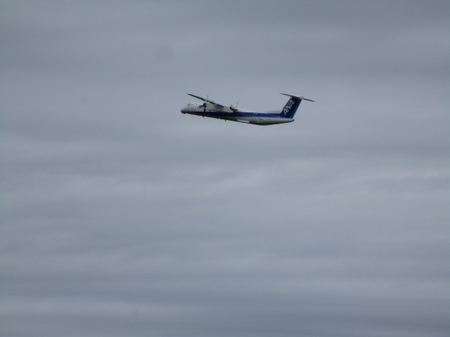 20250918_095019.JPG