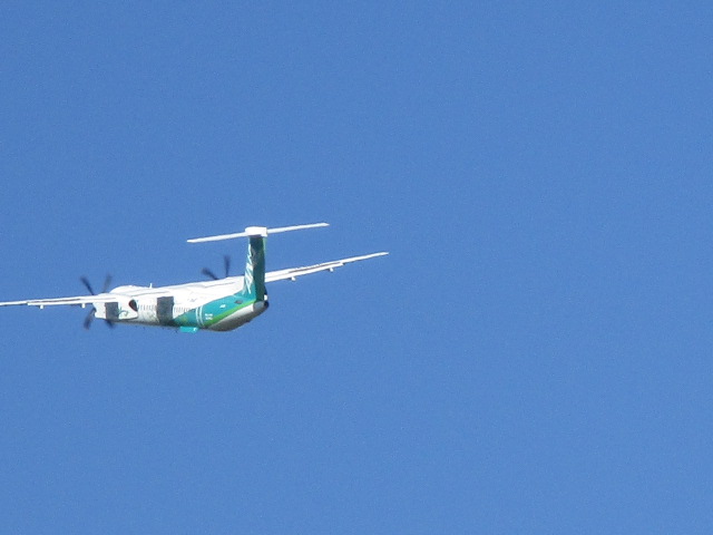 20250919_094412.JPG