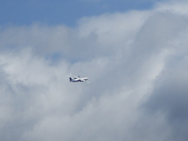 20250922_100417.JPG
