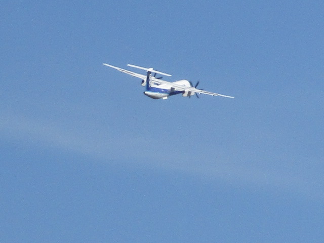 20250923_094009.JPG