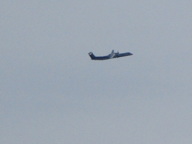 20250923_094022.JPG