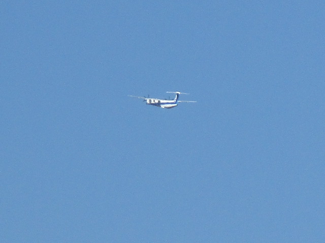 20250924_100314.JPG