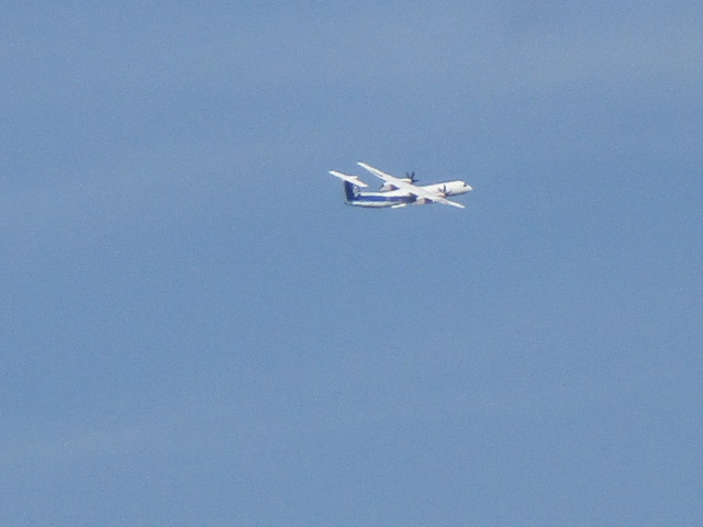 20250924_135504.JPG