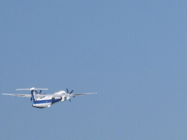 20250926_095155.JPG