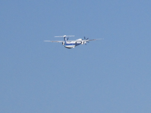 20250926_095210.JPG