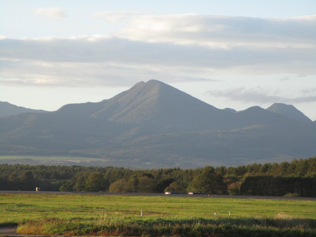 20250926_164511.JPG