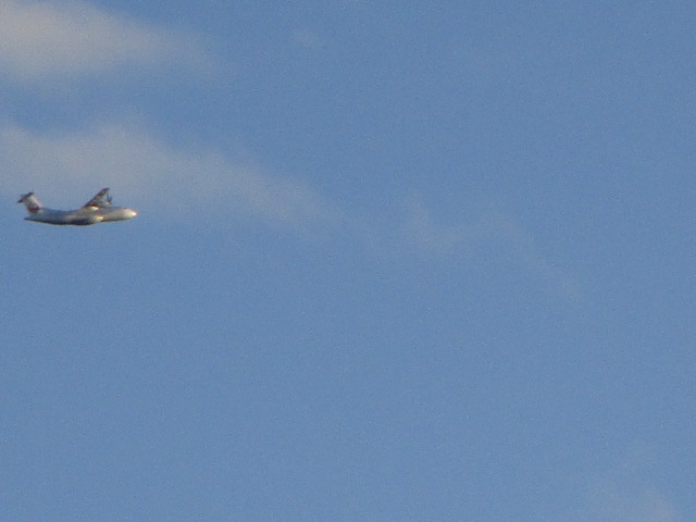 20250926_164728.JPG