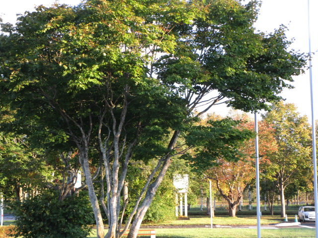 20250926_164756.JPG