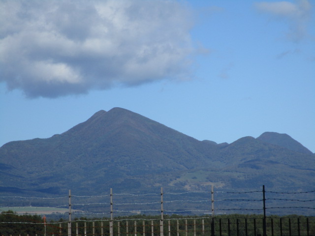 20250927_100138.JPG
