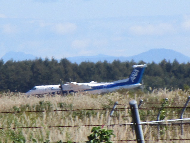 20250927_100306.JPG