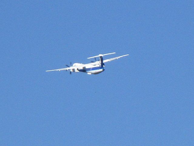 20250927_100356.JPG