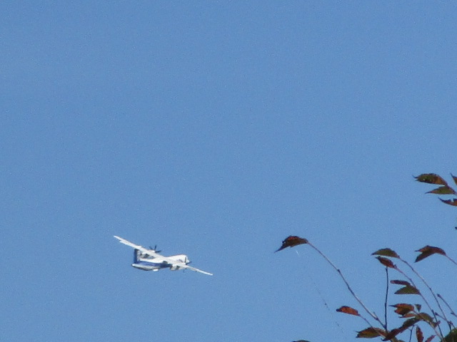 20250928_094212.JPG
