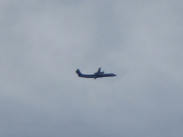 20250928_094228.JPG