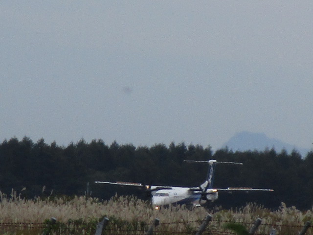 20250929_094701.JPG