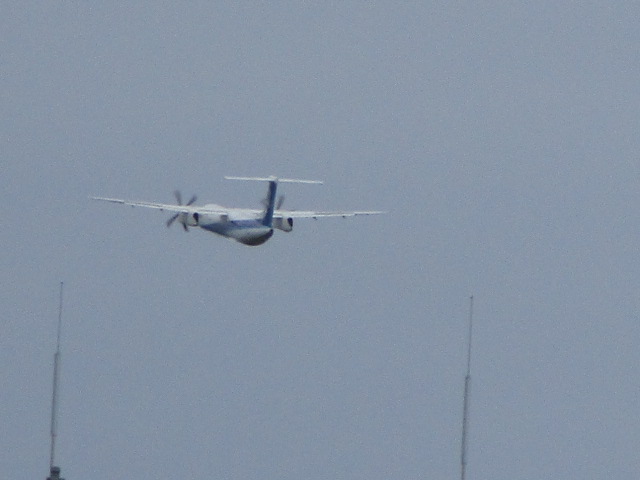 20250929_094732.JPG