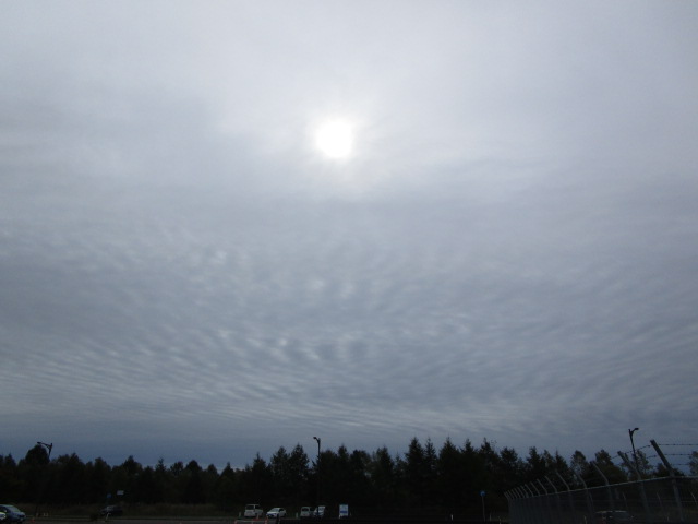 20250929_094753.JPG