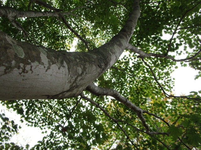 20250929_094812.JPG