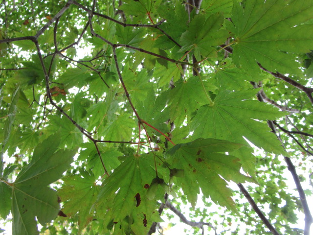 20250929_094825.JPG