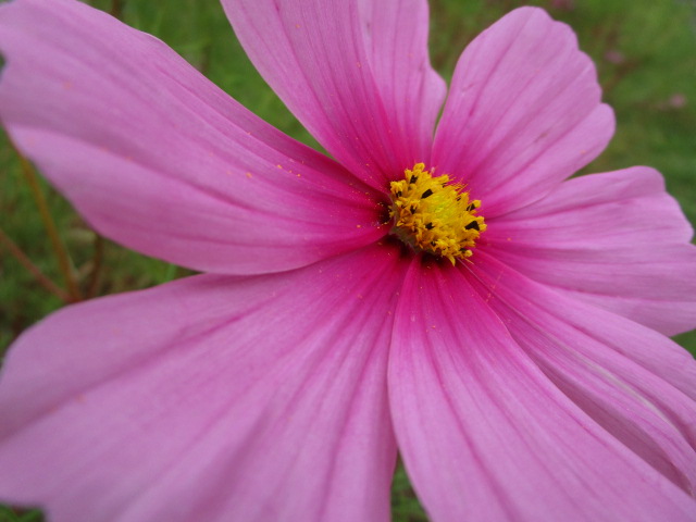 20250929_094921.JPG