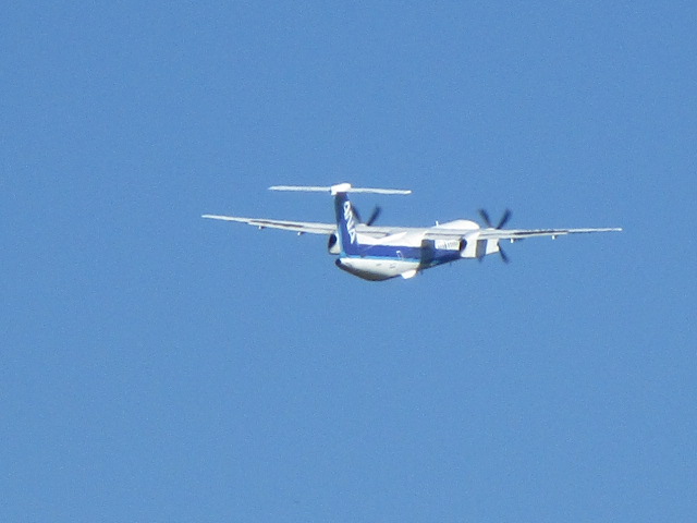 20250930_094233.JPG