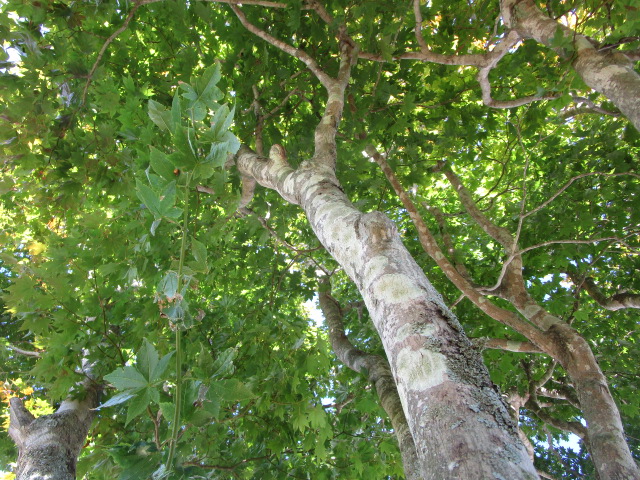 20250930_094305.JPG