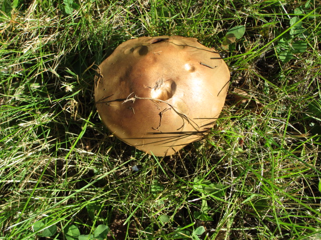 20250930_094327.JPG