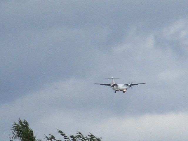 20251006_105506.JPG