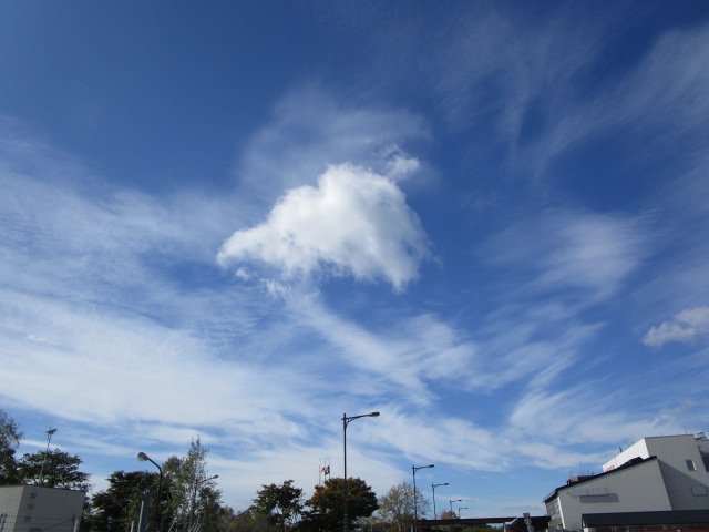 20251010_095248.JPG