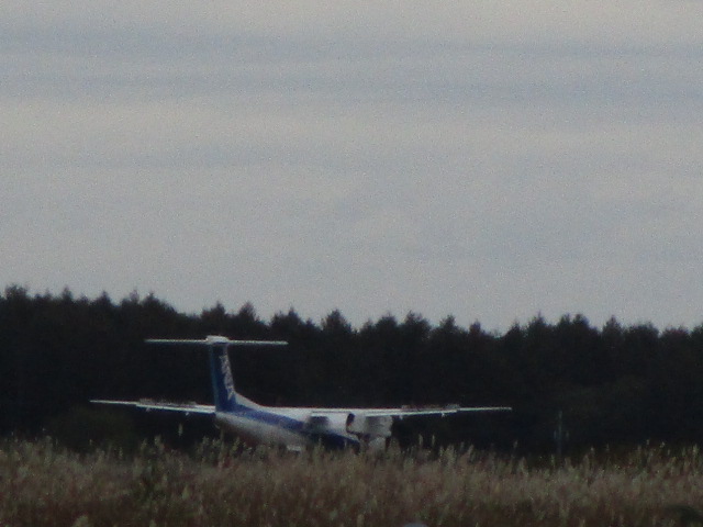20251012_094608.JPG