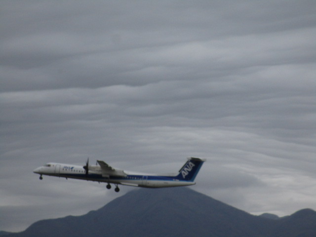 20251012_094621.JPG