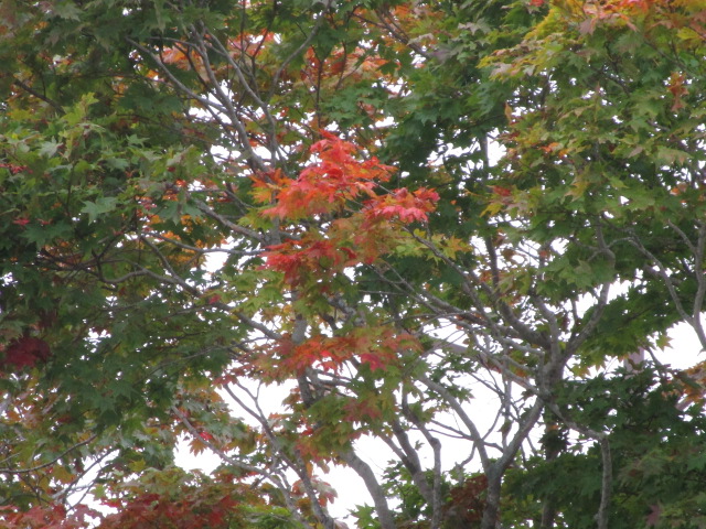 20251012_094700.JPG