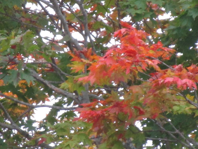 20251012_094711.JPG