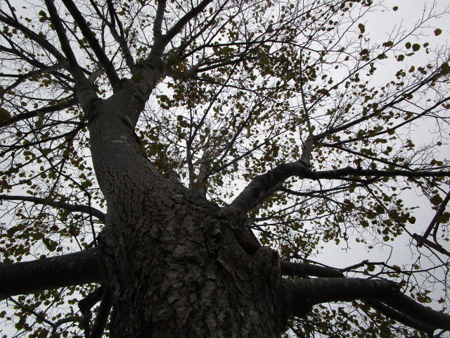 20251012_094723.JPG