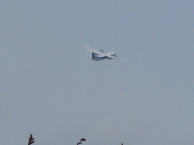 20251013_094836.JPG