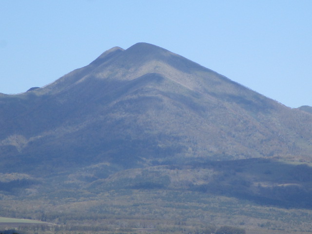 20251014_095712.JPG